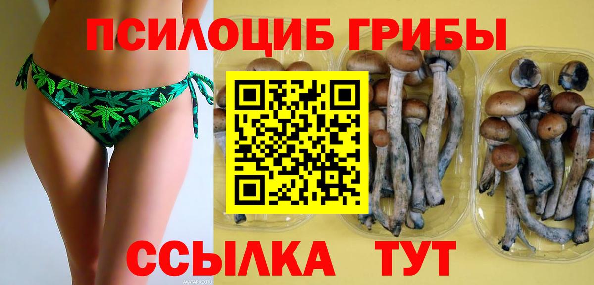 Галлюциногенные грибы прущие грибы  Вход с VPN  Галлюциногенные грибы мицелий  Когалым 